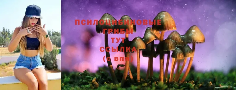 Галлюциногенные грибы Cubensis  Ейск 